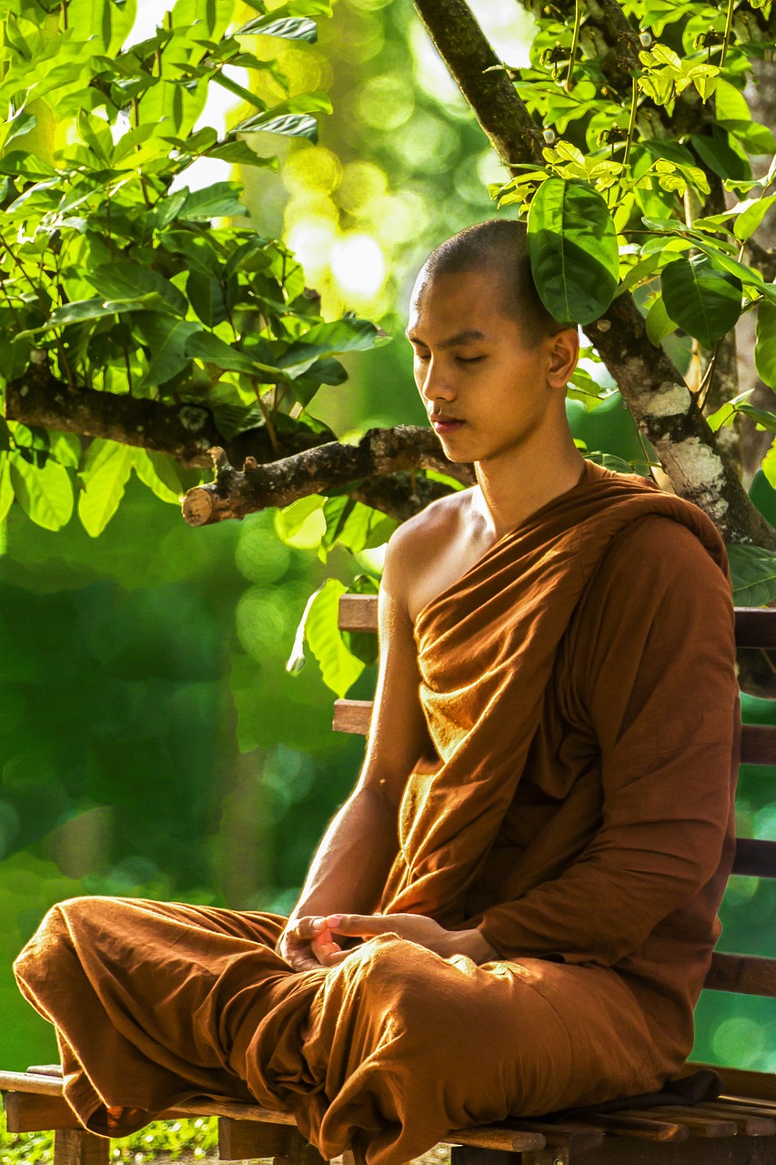 Zen Meditation (Zazen) (image credits: pixabay)