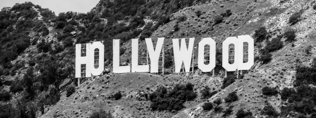 Fresh Faces Break Hollywood's Recycling Problem (image credits: unsplash)