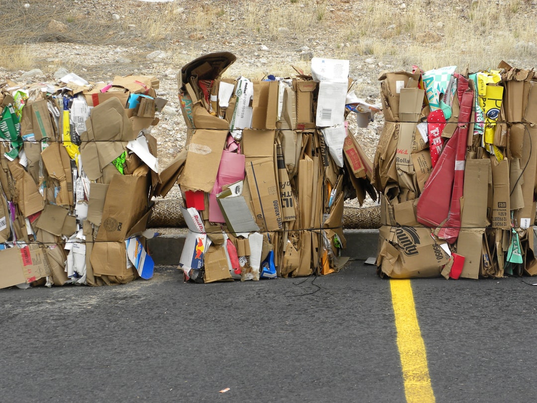 Cardboard and Paper: A Slightly Better Story (image credits: unsplash)