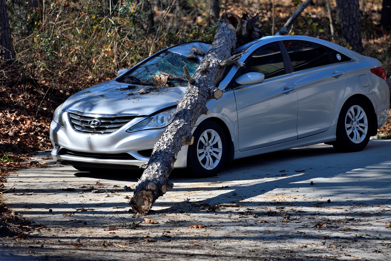 Insurance Markets Are Already Buckling (image credits: pixabay)