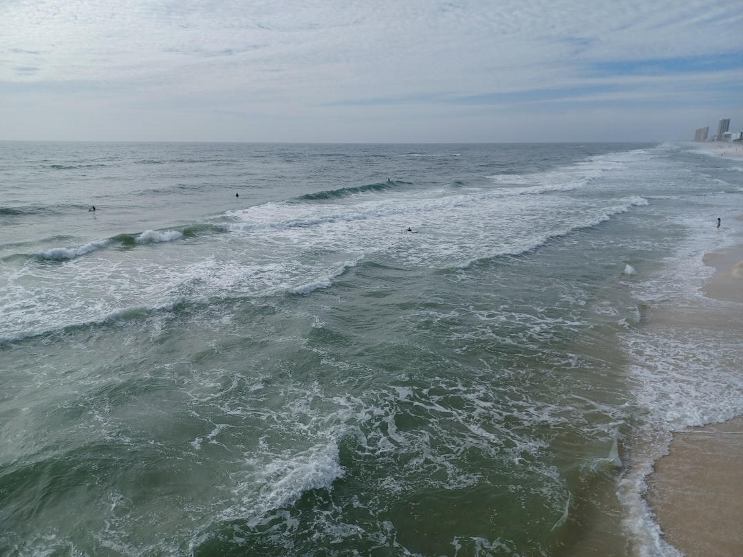 Understanding Great White Shark Behavior (image credits: unsplash)