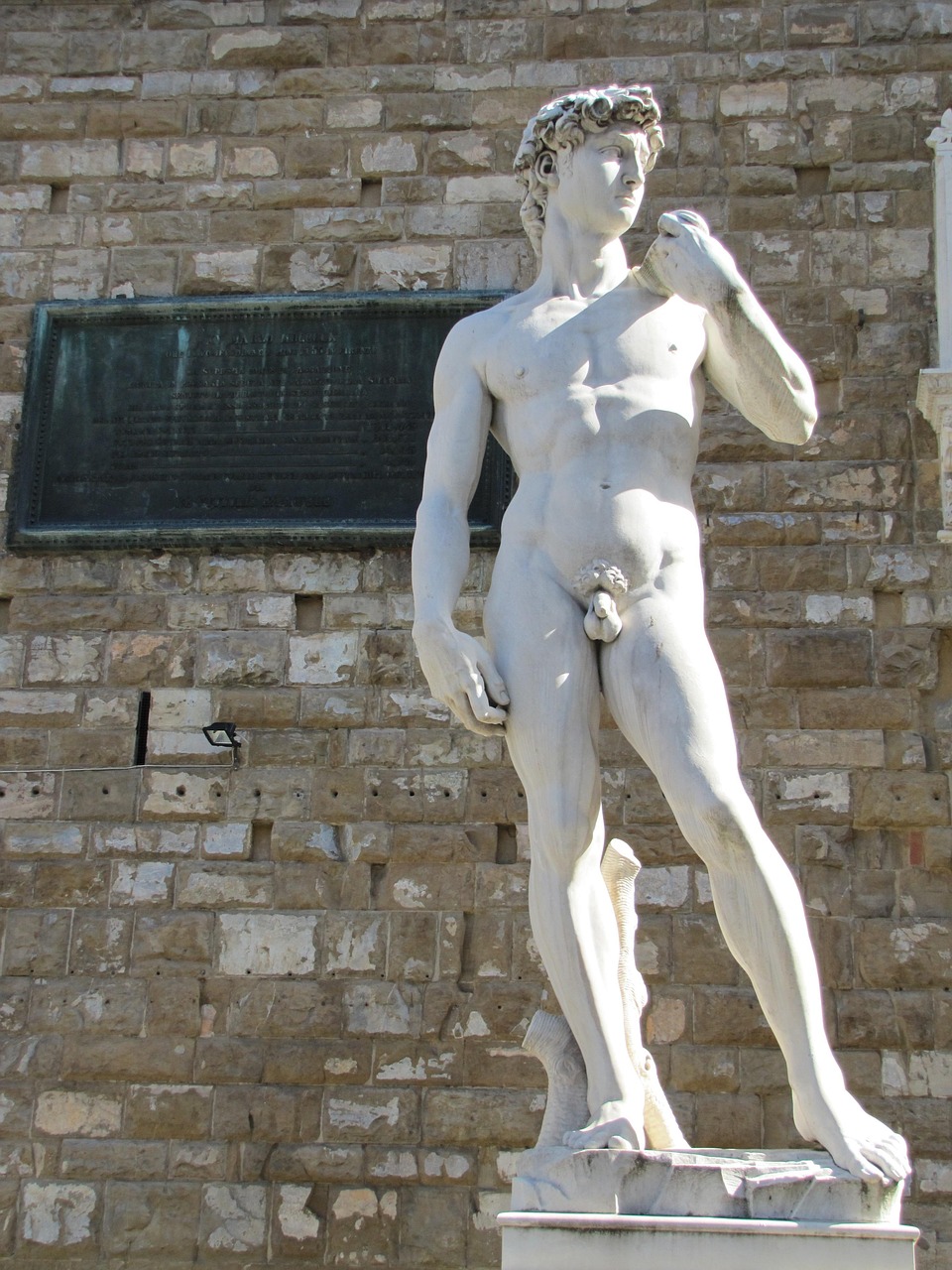 David by Michelangelo (image credits: pixabay)