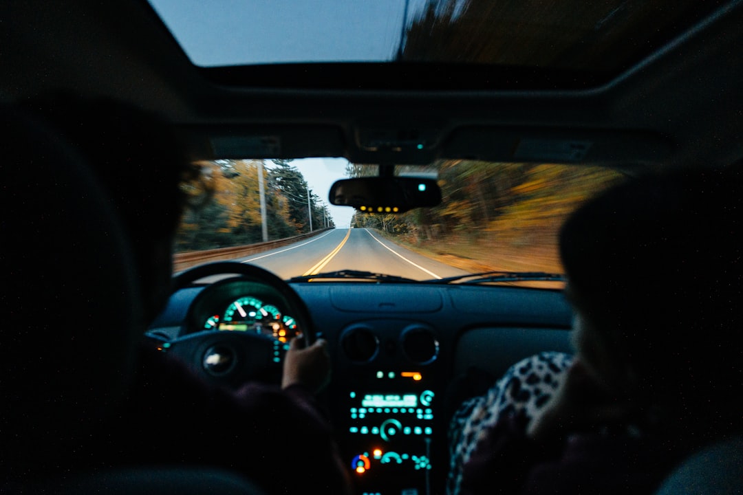 Long Road Trips: A Mixed Bag (image credits: unsplash)