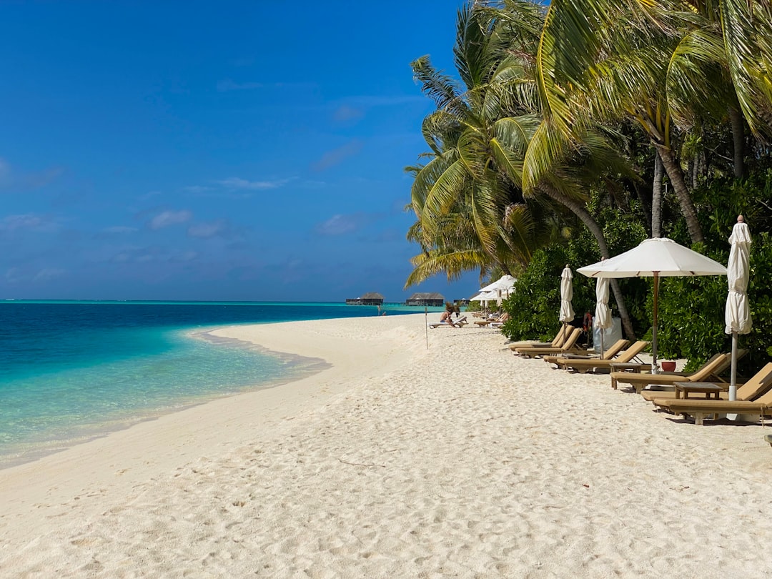 Mauritius Provides Tropical Luxury Without the Wait (image credits: unsplash)