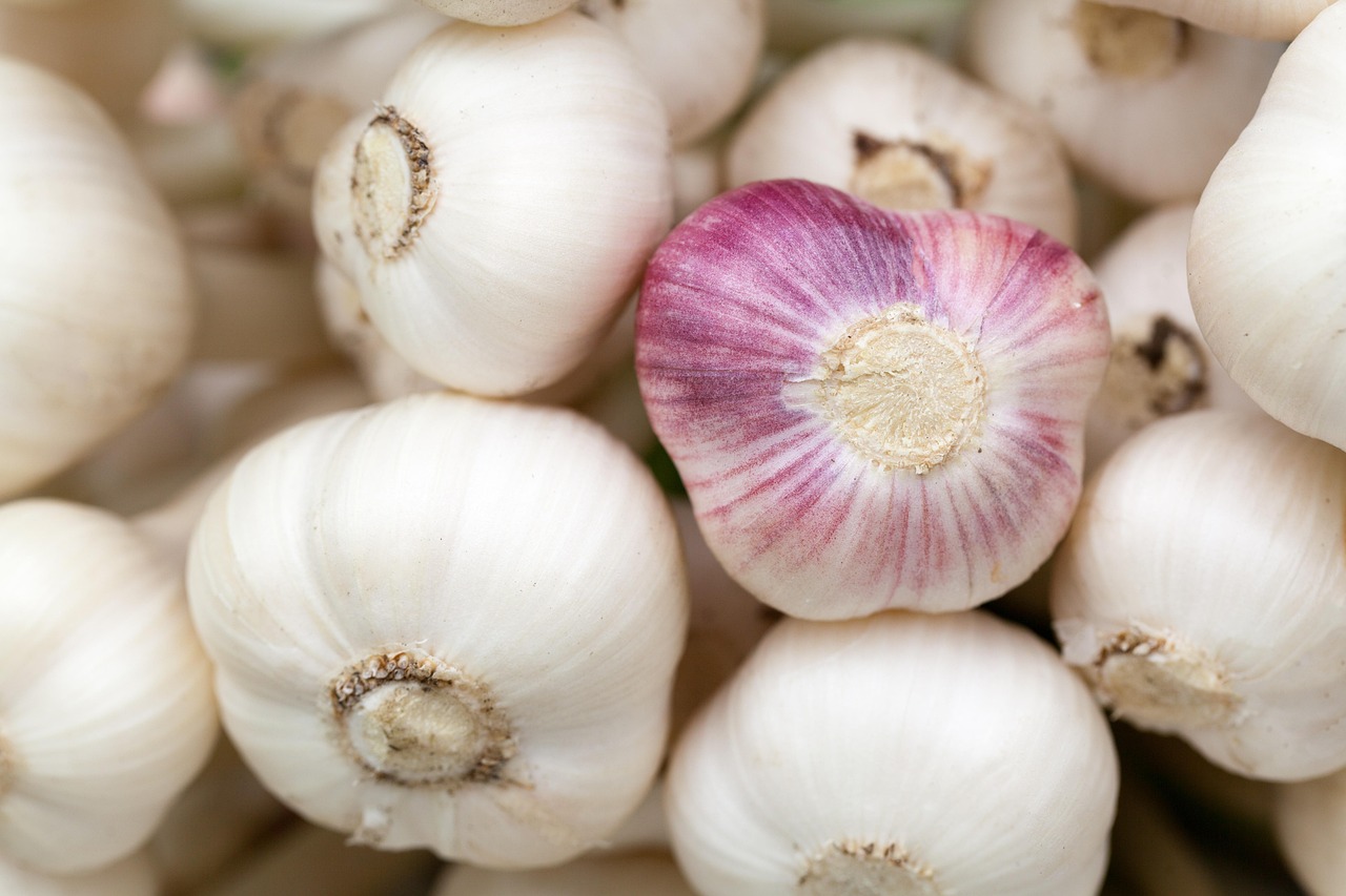 Garlic: The Pungent Protector (image credits: pixabay)