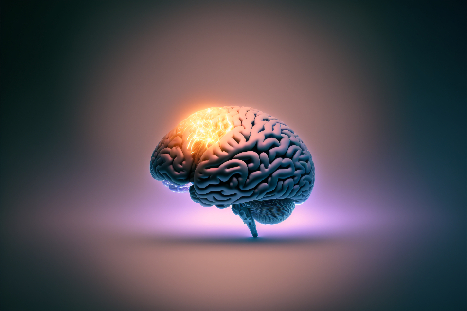 The Science Behind Mindfulness (image credits: stocksnap)