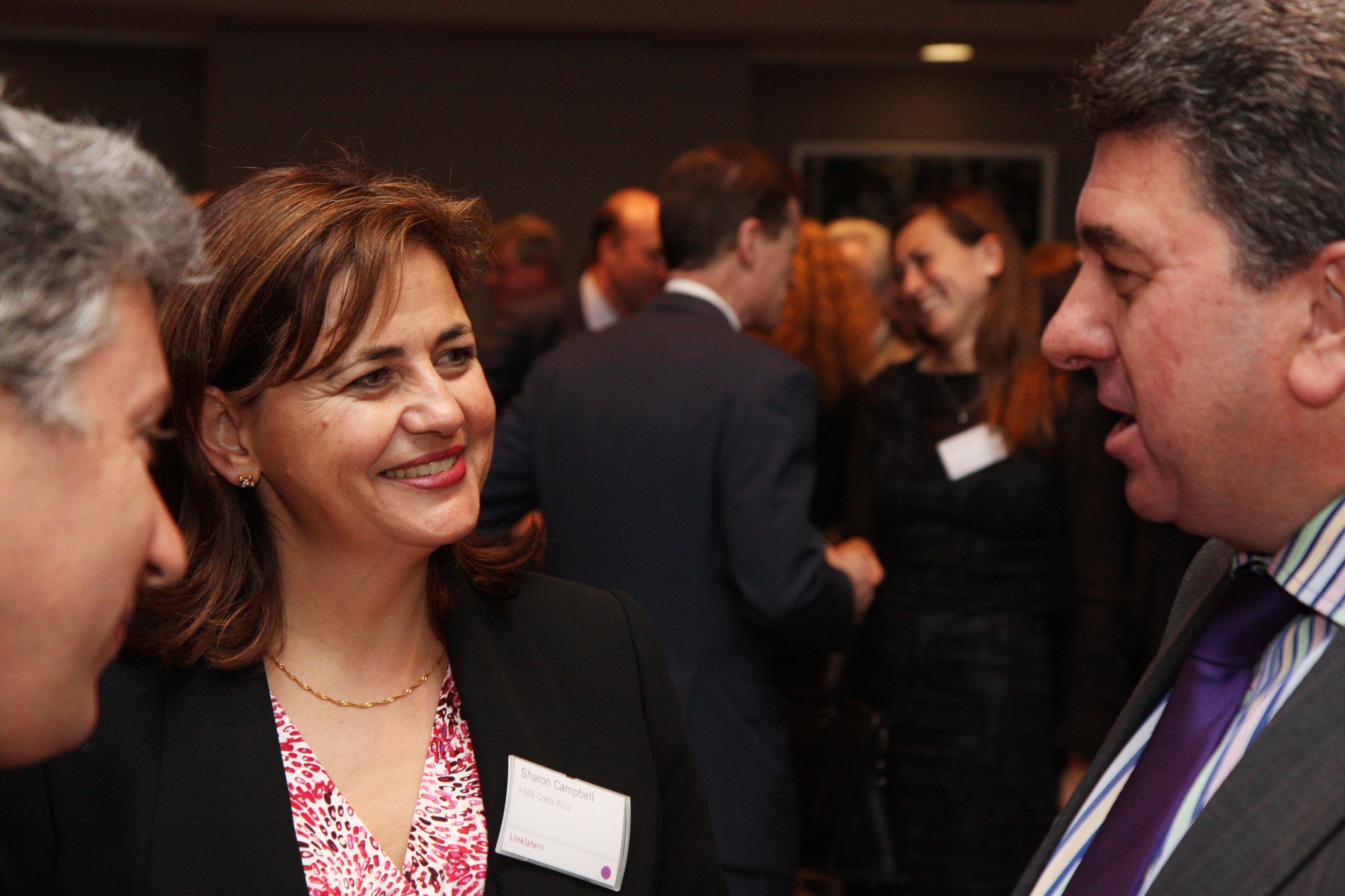 9. Professional Socializing (image credits: wikimedia)