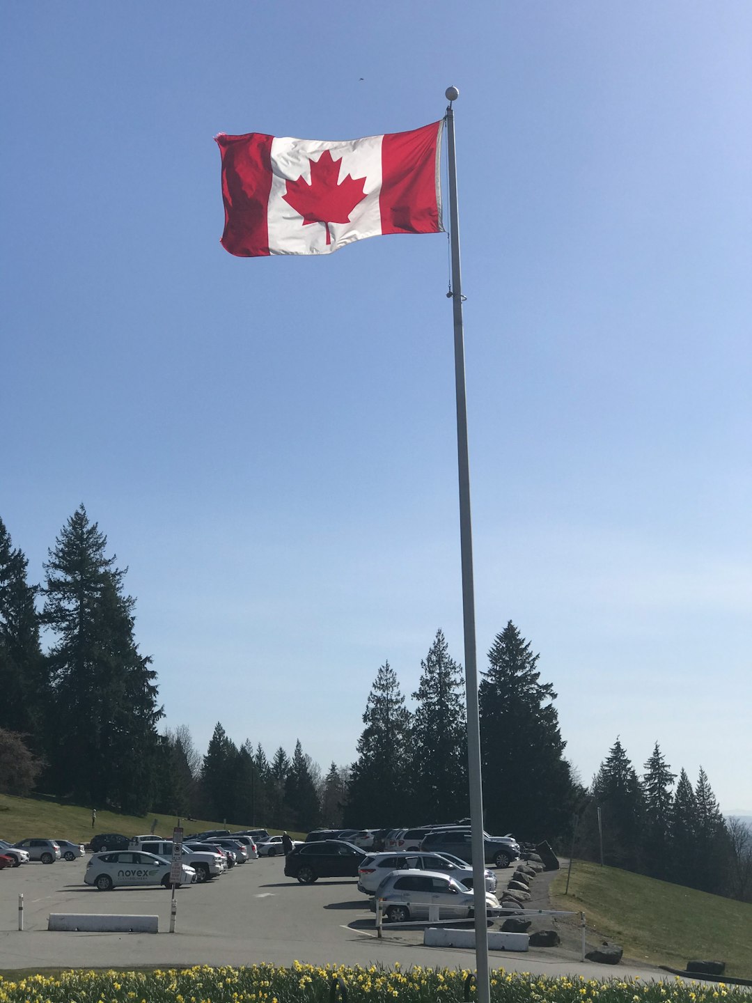 New Registration Requirements Add Another Layer (image credits: unsplash)