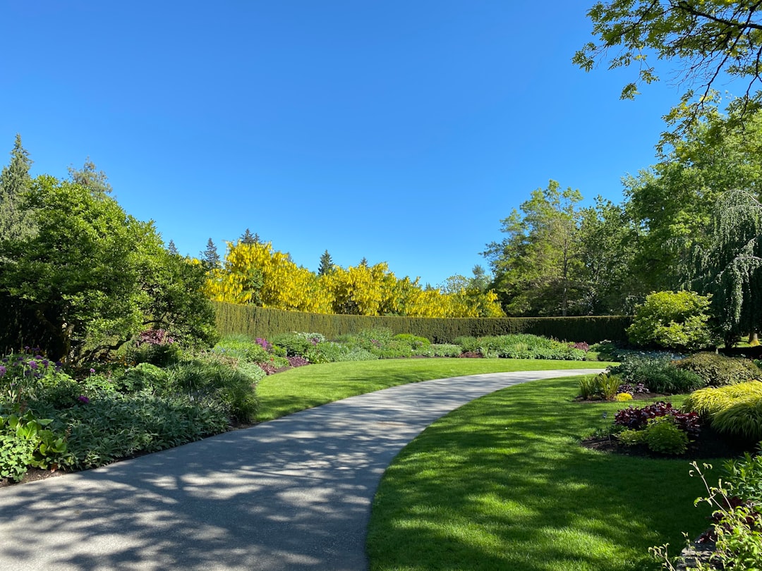 4. Walking Meditation (No Cushion Required) (image credits: unsplash)