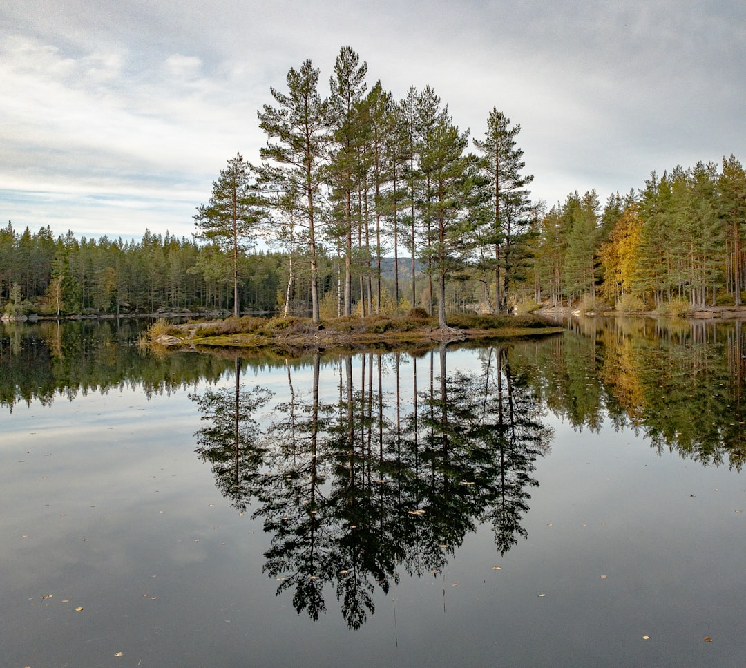 Sweden: Balance, Equality, and Open Spaces (image credits: unsplash)