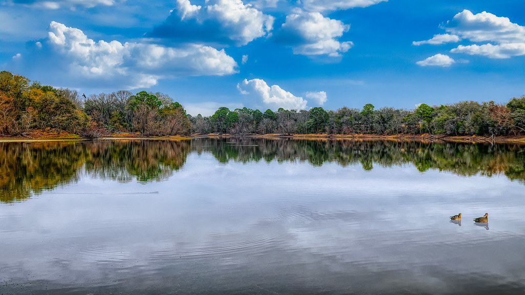 Vermont's Maple Syrup Country Goes Dry (image credits: flickr)