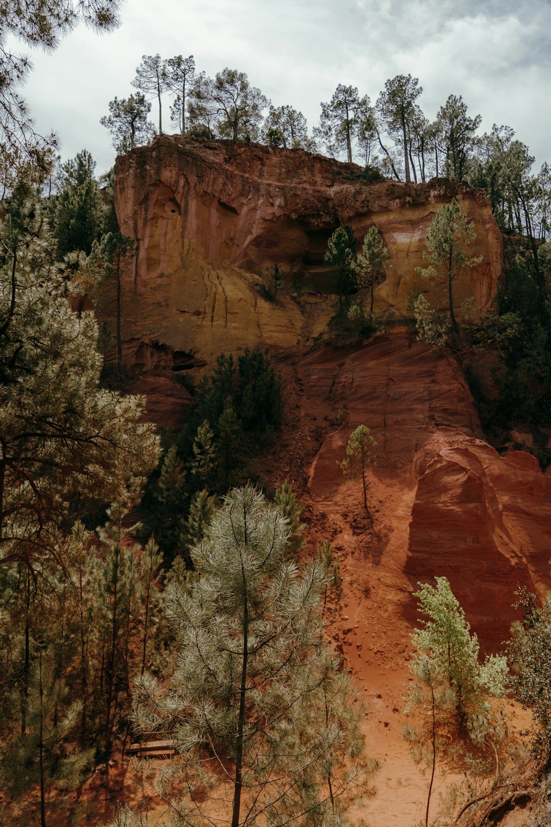“Climate Science Isn’t Settled” (image credits: unsplash)