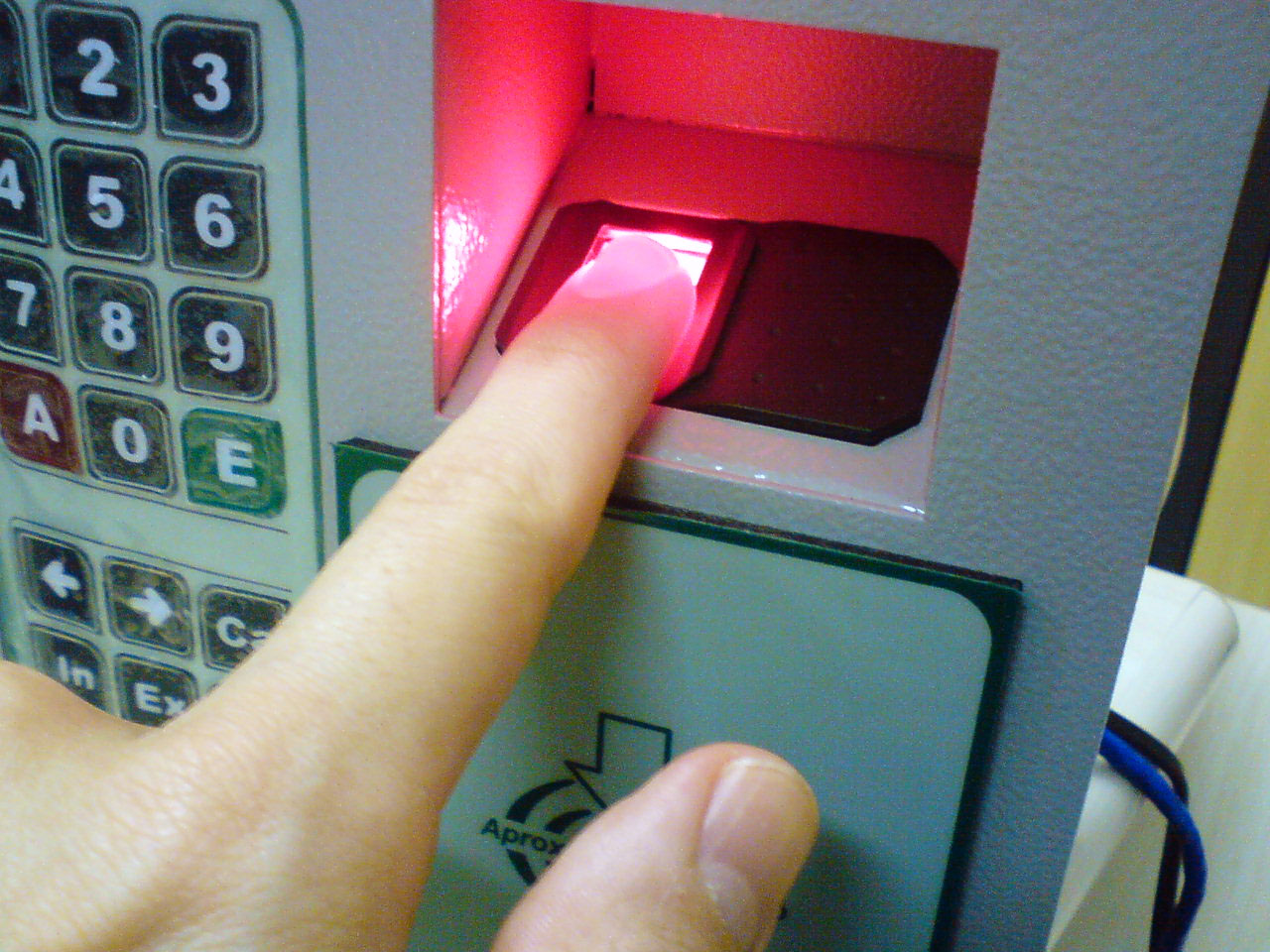 Biometric Security (image credits: wikimedia)