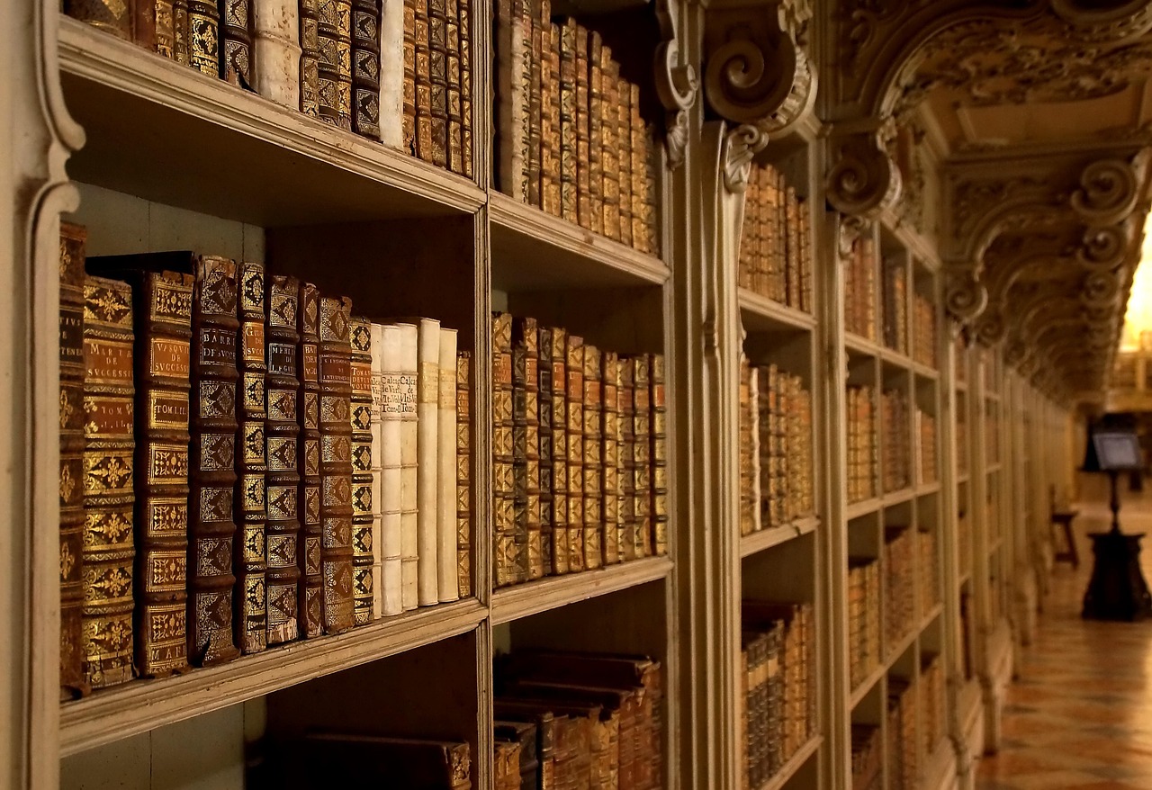The Memory Palace: In Search of Lost Time (image credits: pixabay)