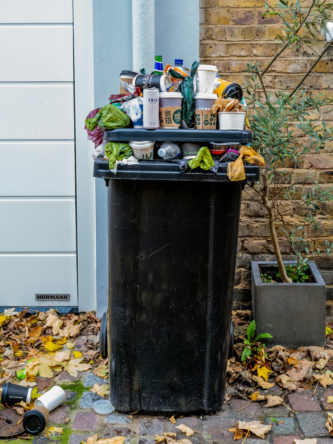 Mindful Trash Disposal (image credits: unsplash)