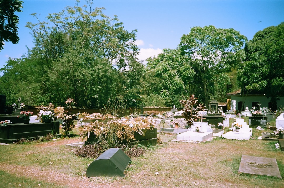 Your Grandmother (In Most States) (image credits: unsplash)