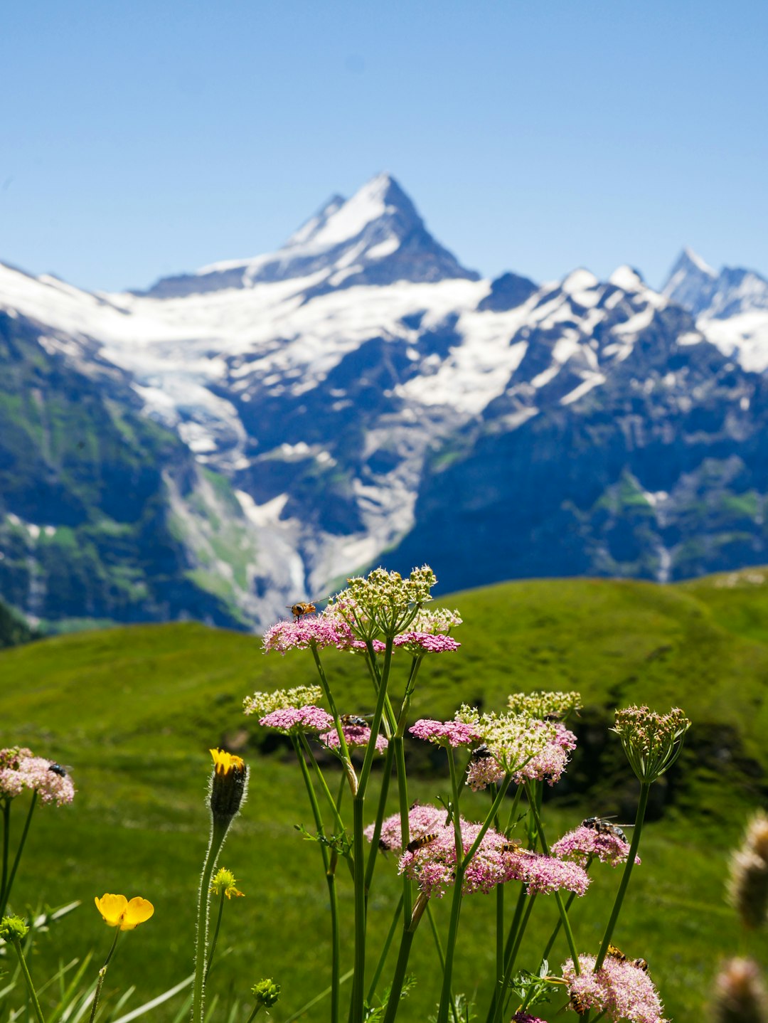 1. Switzerland - The Alpine Paradise (image credits: unsplash)