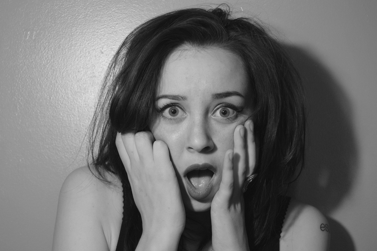 The Price Shock That Changed Everything (image credits: pixabay)