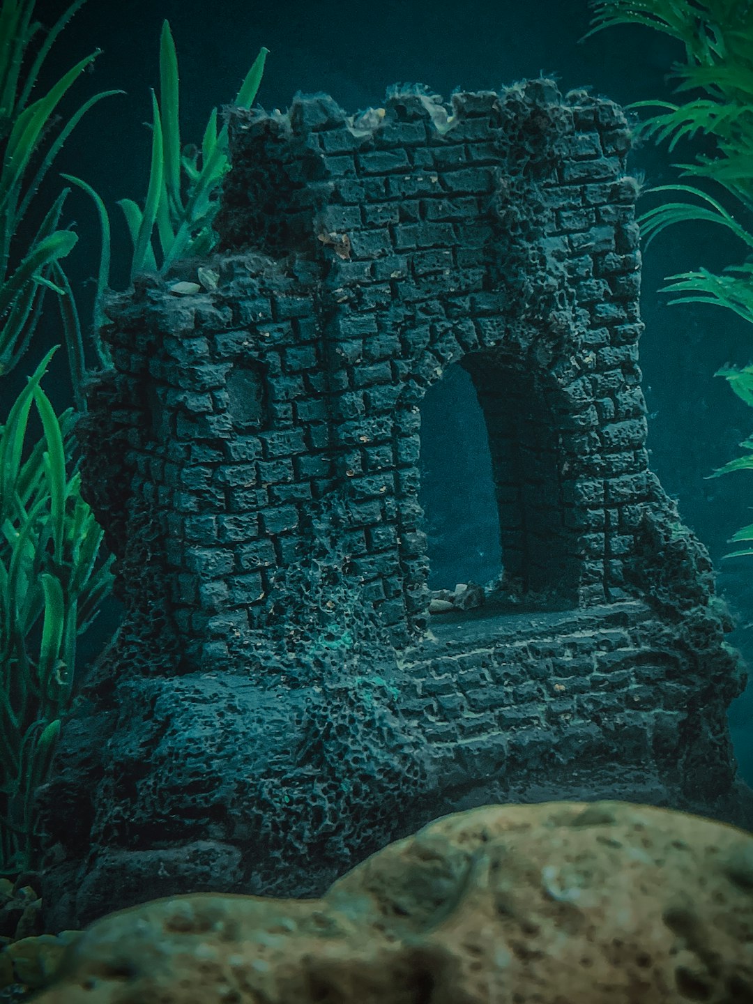 Sunken City of Dwarka (image credits: unsplash)