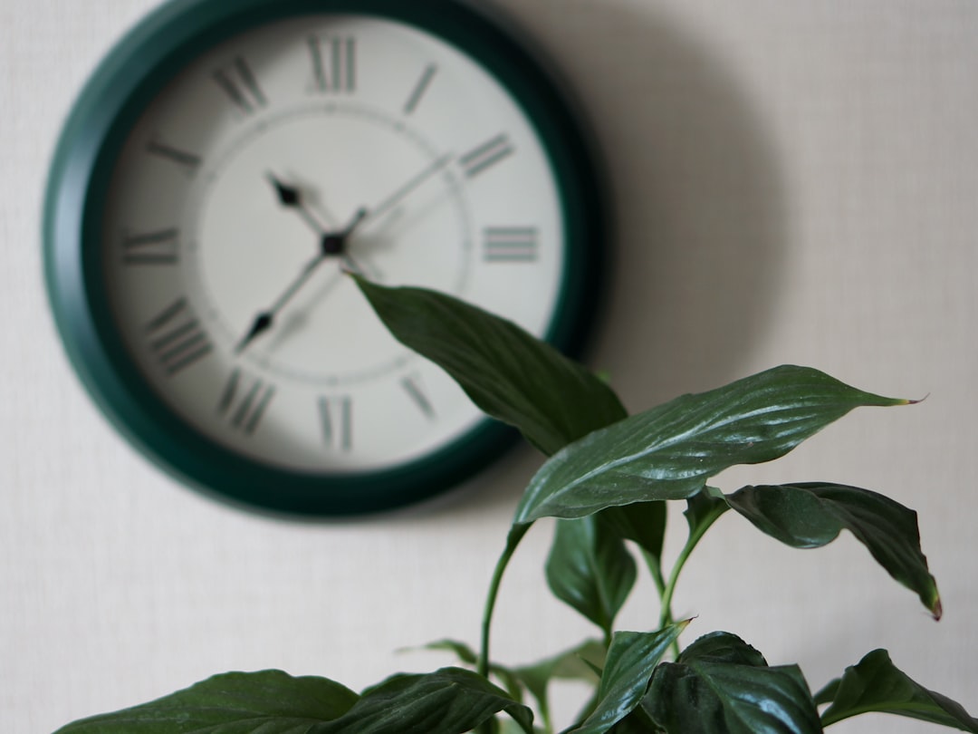 Where Did the One-Minute Rule Come From? (image credits: unsplash)