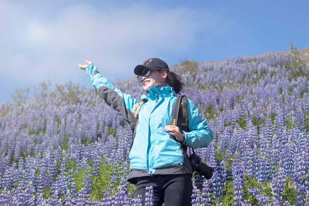 Iceland: Small Population, Big Happiness (image credits: unsplash)