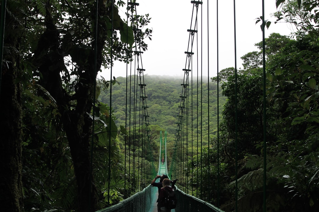 Costa Rica: The Pura Vida Paradise That Shocked the World (image credits: unsplash)