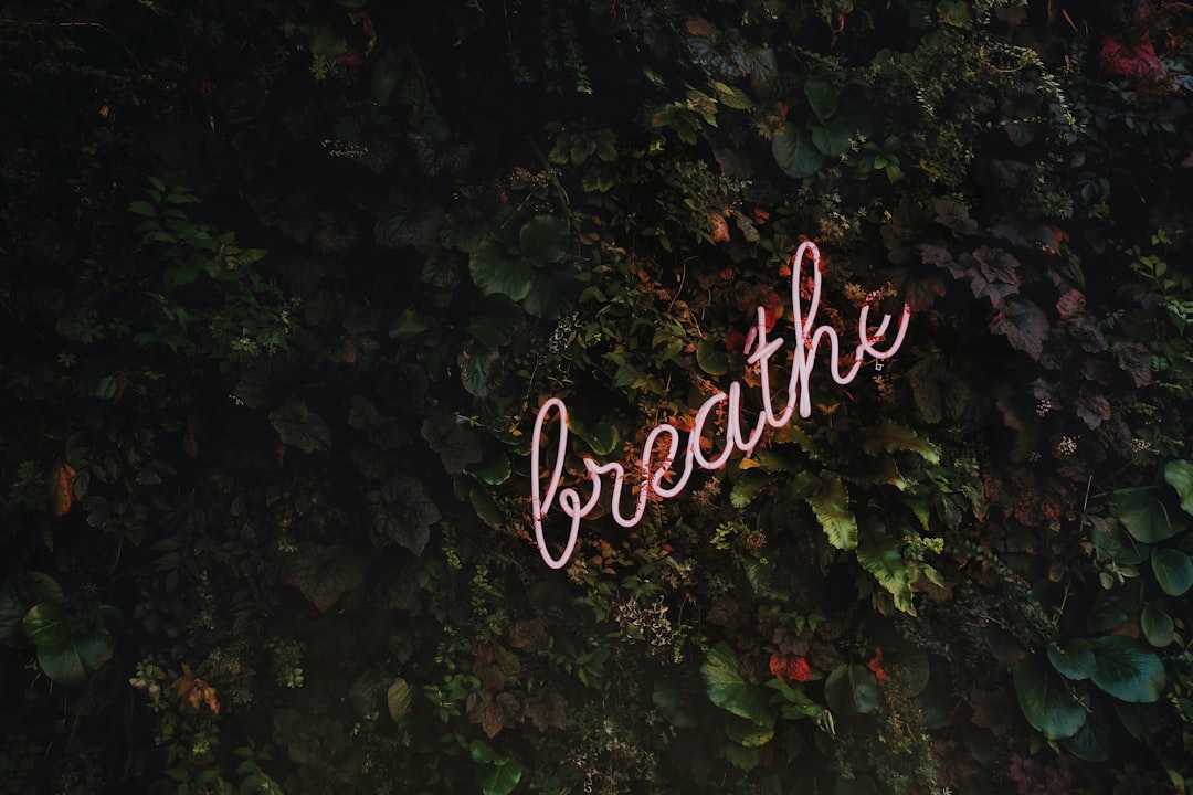 Breathing Techniques for Stress Reduction (image credits: unsplash)