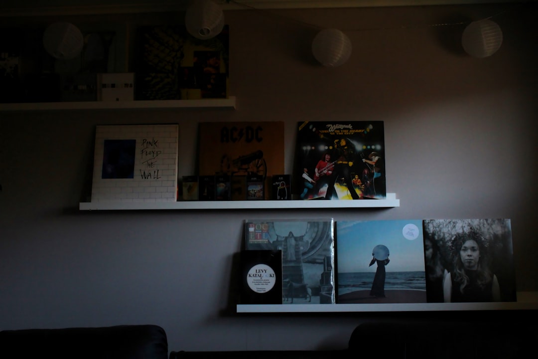 1. “Third/Sister Lovers” by Big Star (1978) (image credits: unsplash)