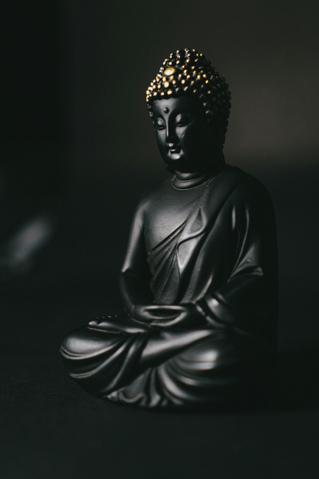 The Enigmatic Fate of Siddhartha Gautama (image credits: unsplash)