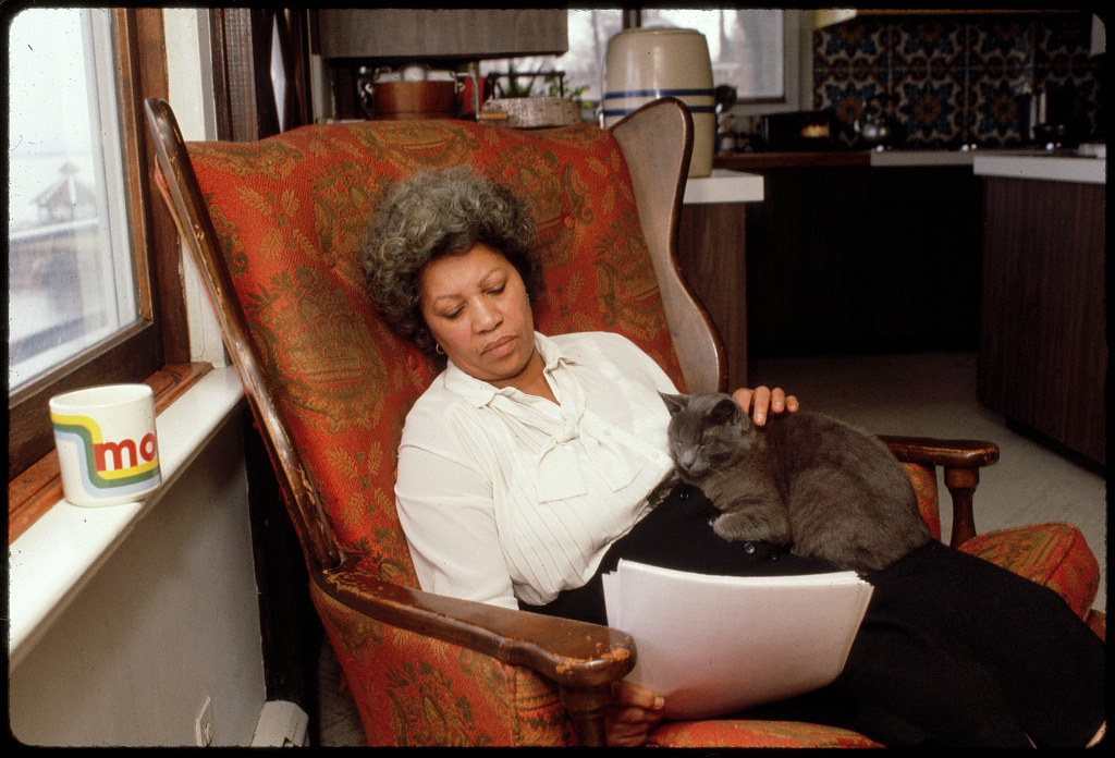 Toni Morrison's Beloved – Confronting America's Traumatic Past (image credits: flickr)