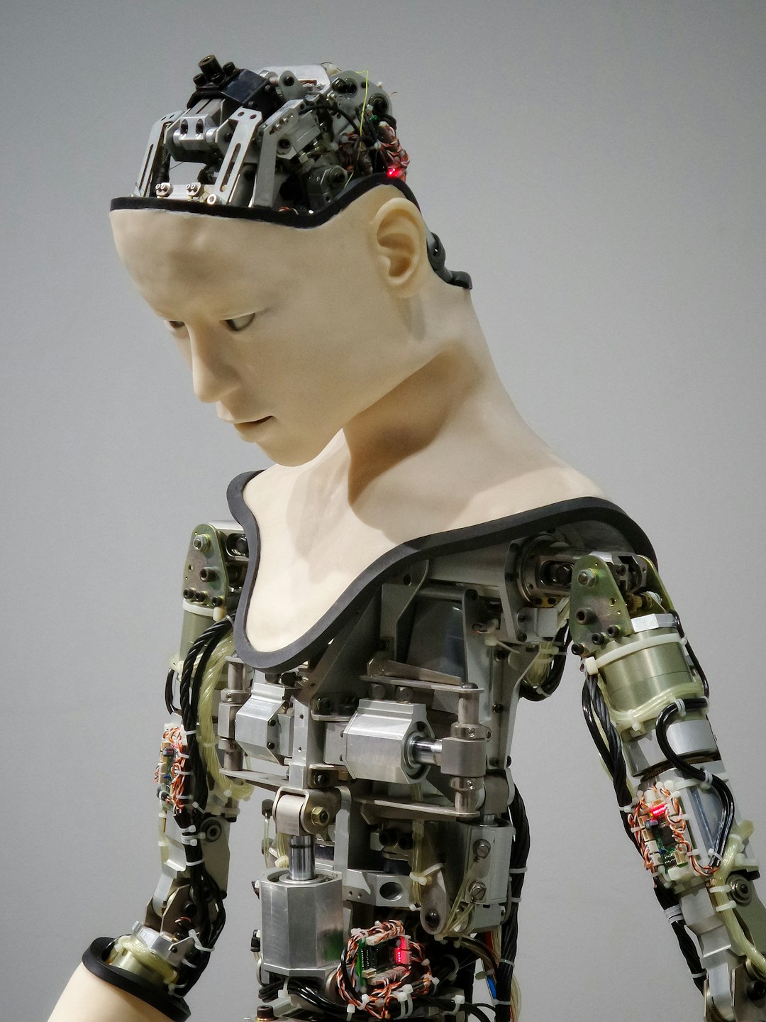 The Automation Revolution and Human Uniqueness (image credits: unsplash)