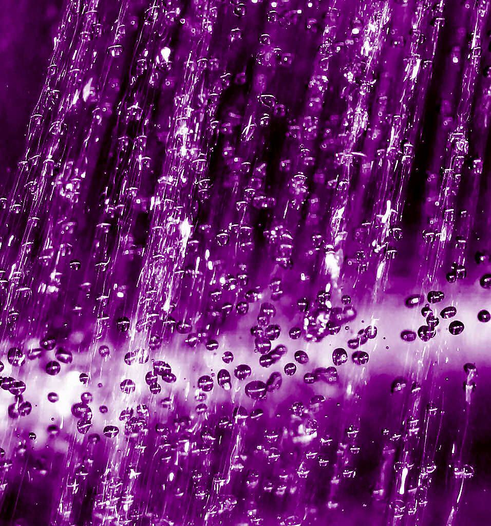 Unforgettable Performance: “Purple Rain” by Prince (image credits: flickr)
