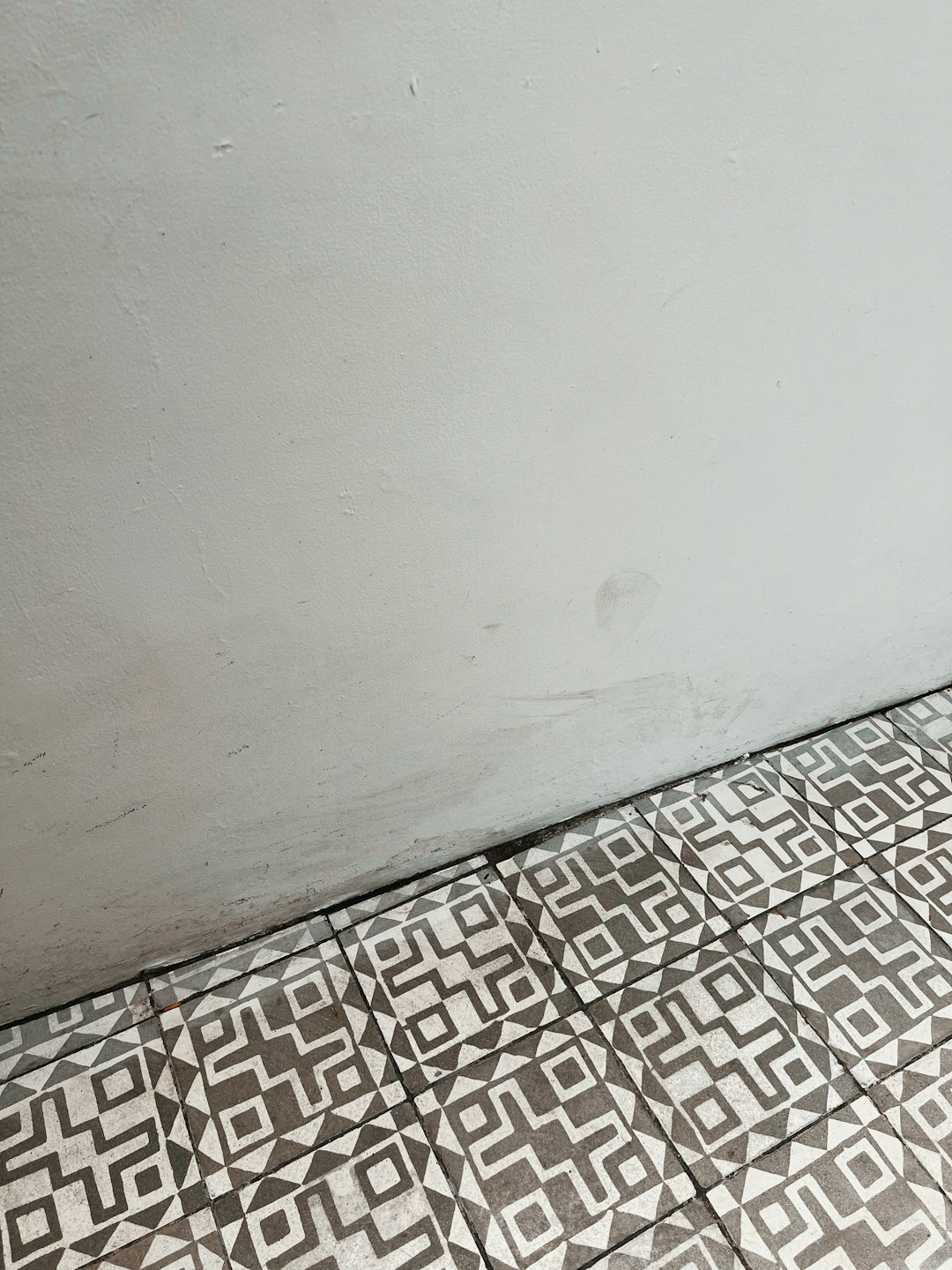 Wall-to-Wall Carpet: A Hygienic Horror Story (image credits: unsplash)