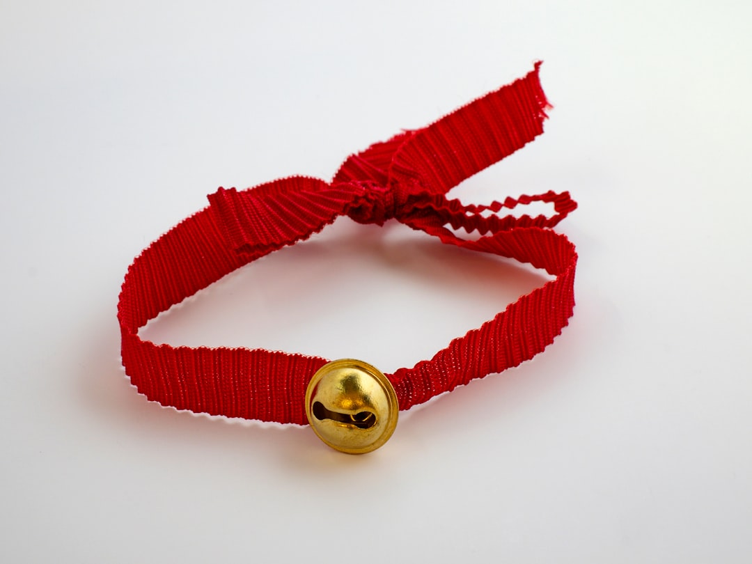 Red String: Protection and Connection (image credits: unsplash)