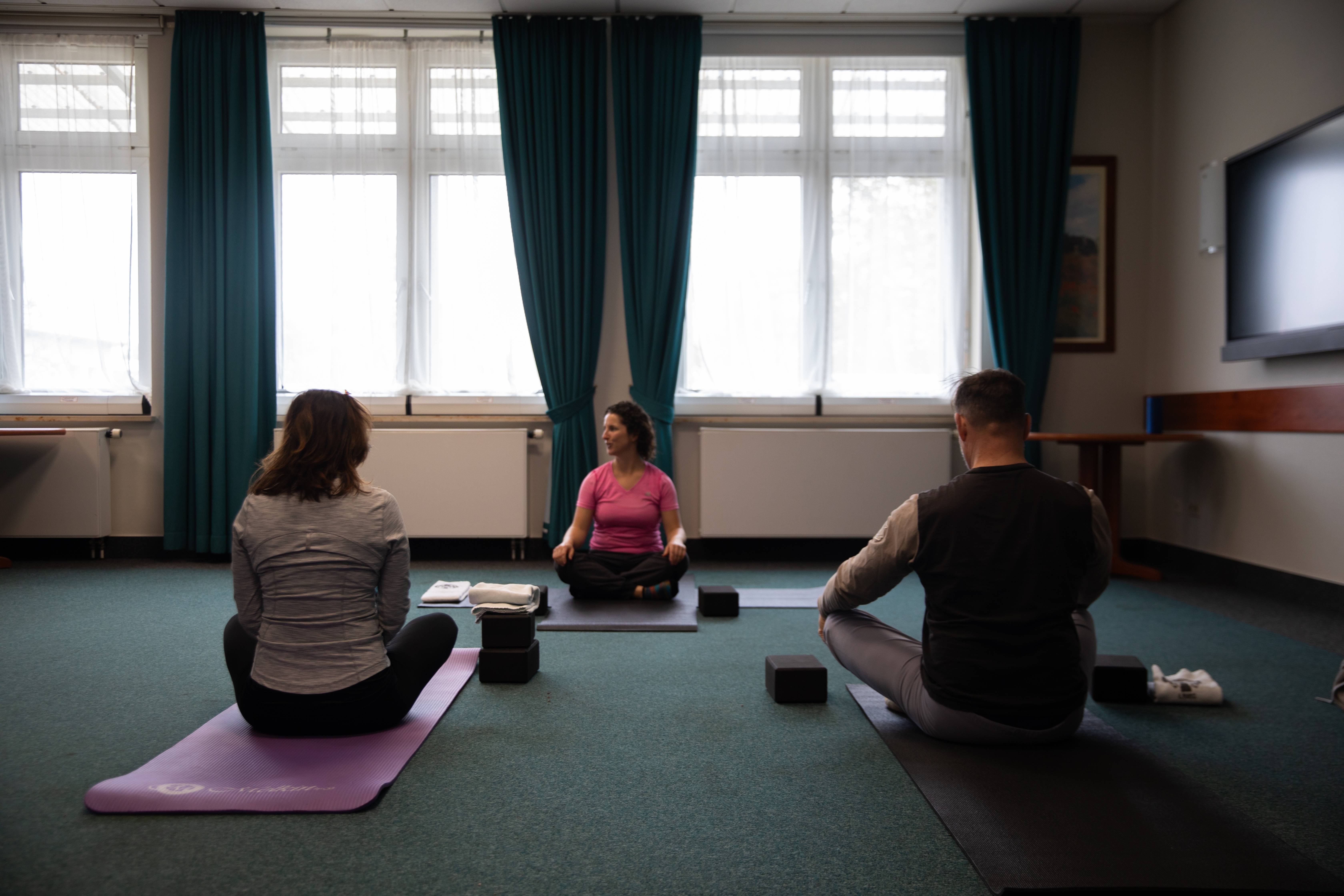 Resilience in the Face of Adversity: Yoga’s Role in Tough Times (image credits: wikimedia)