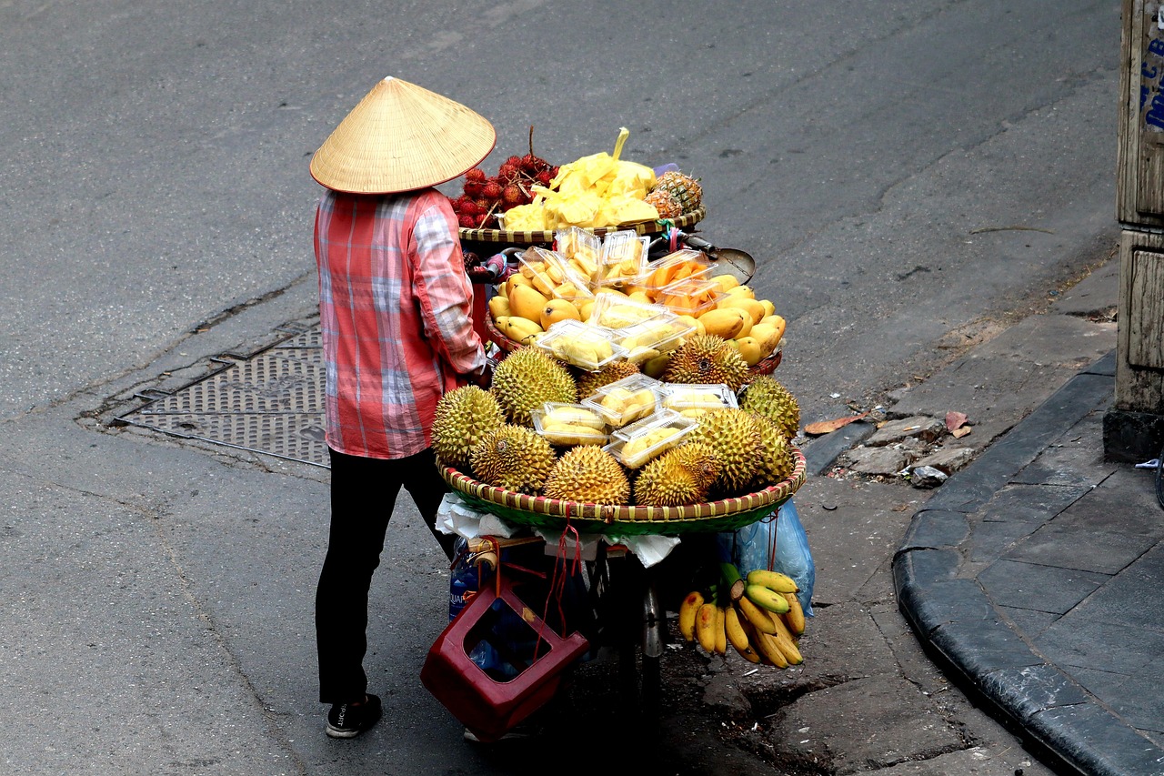 Vietnam: The Emerald Paradise Where Your Dollar Stretches Like Magic (image credits: pixabay)
