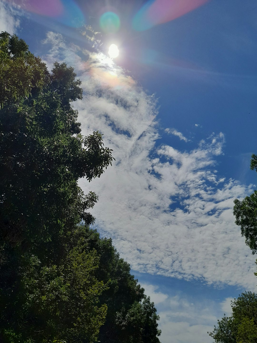South Carolina: Coastline Cooks in the Sun (image credits: unsplash)