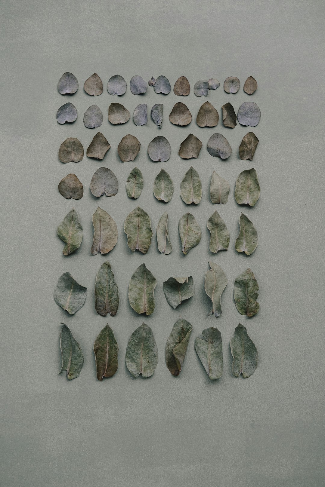 Ancient Stone Tools Rewrite Human Evolution (image credits: unsplash)