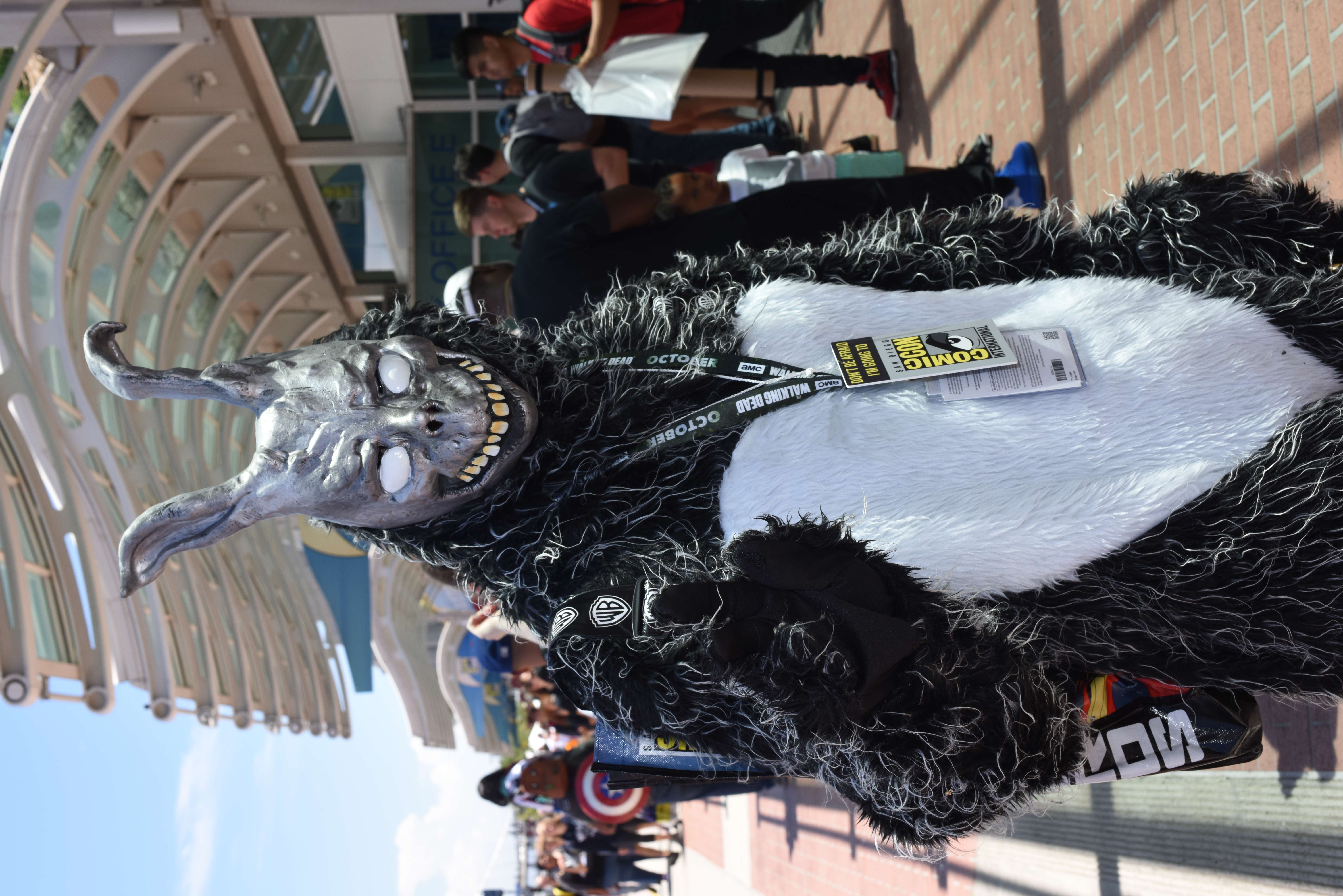 Donnie Darko: Lost At Launch, Celebrated in Retrospect (image credits: wikimedia)