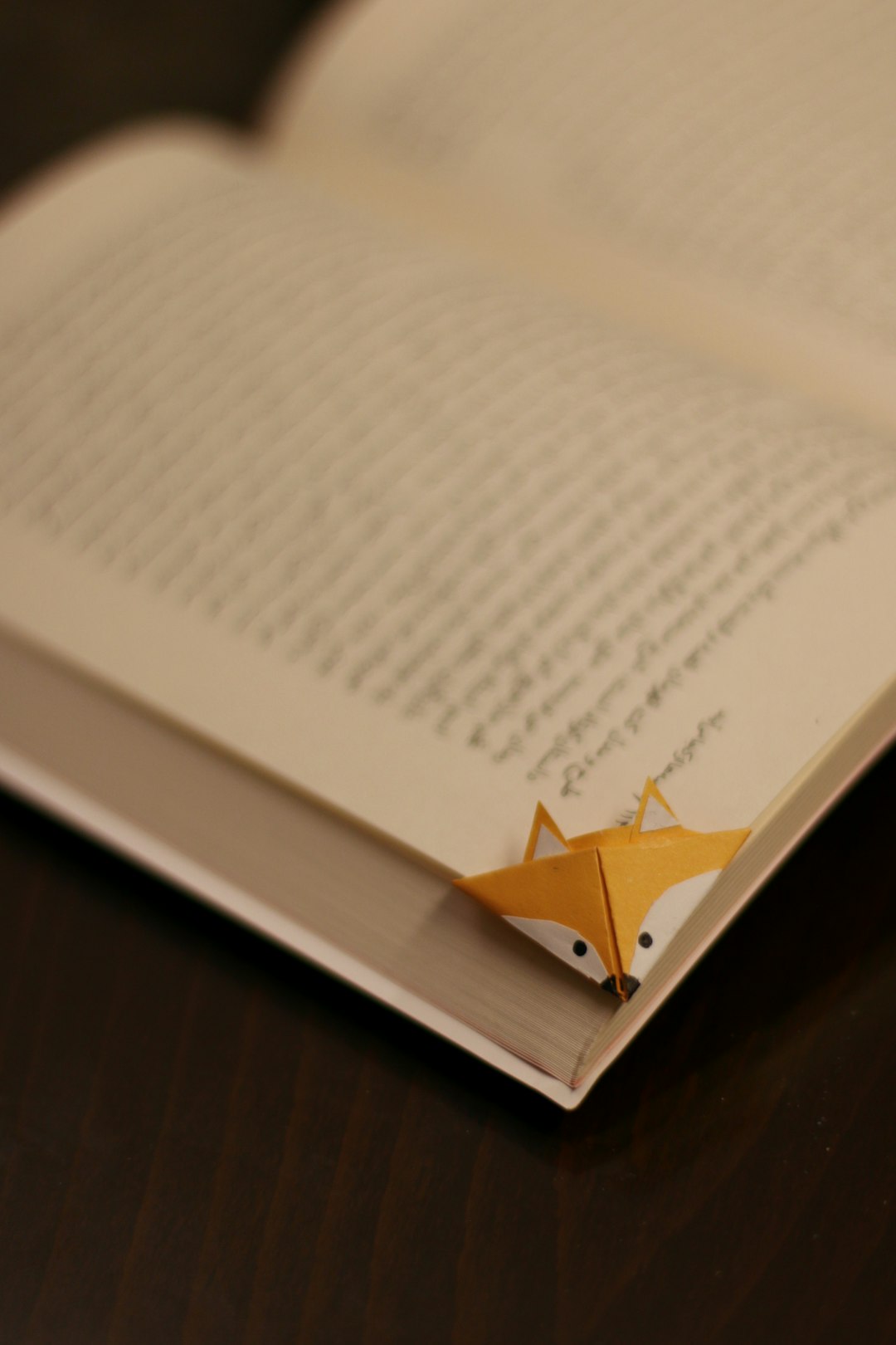The Crown Jewel of Literature: Don Quixote Takes the Throne (image credits: unsplash)
