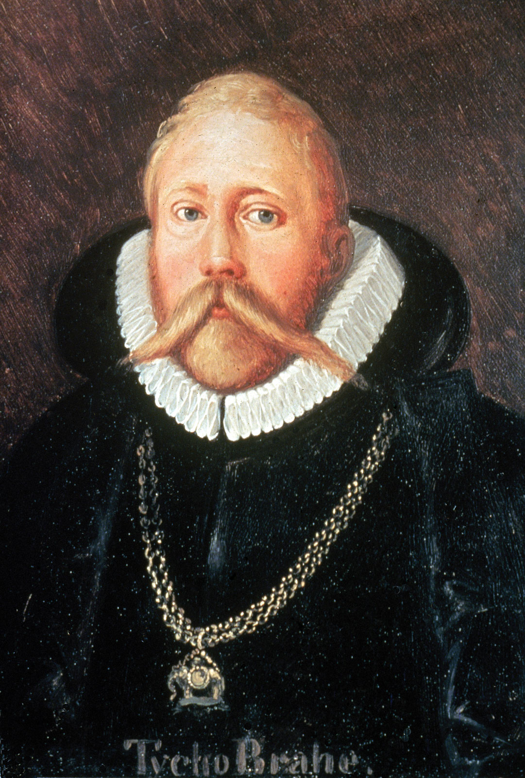 7. Tycho Brahe: The Astronomer Who Held It In (image credits: wikimedia)