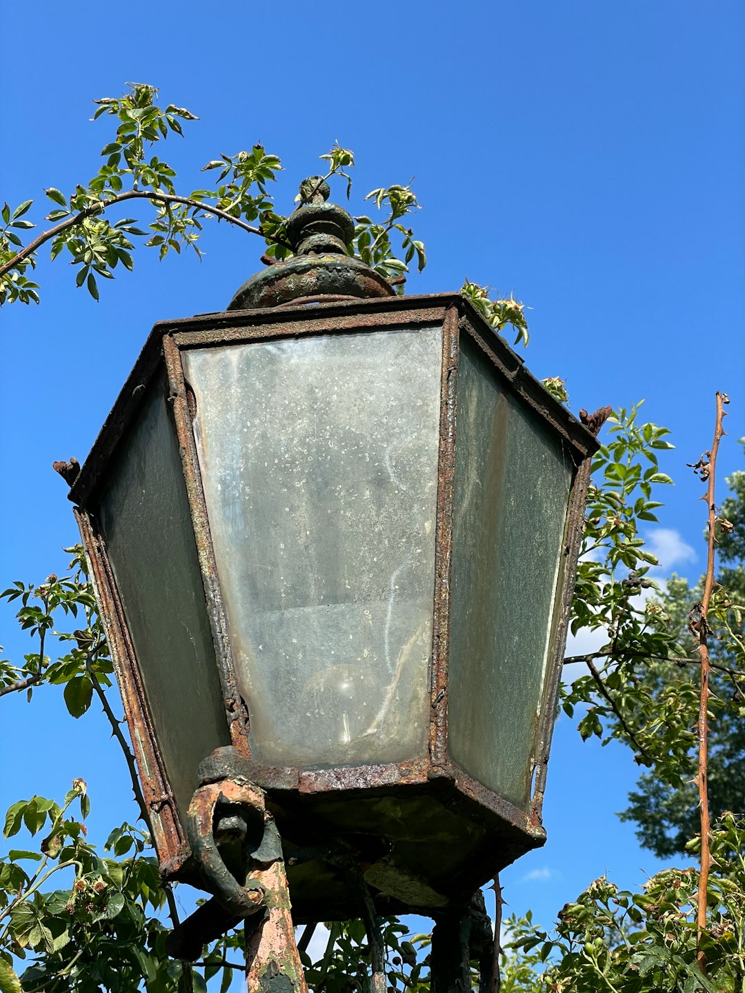 Bulk Solar Lanterns Fall Out of Favor (image credits: unsplash)