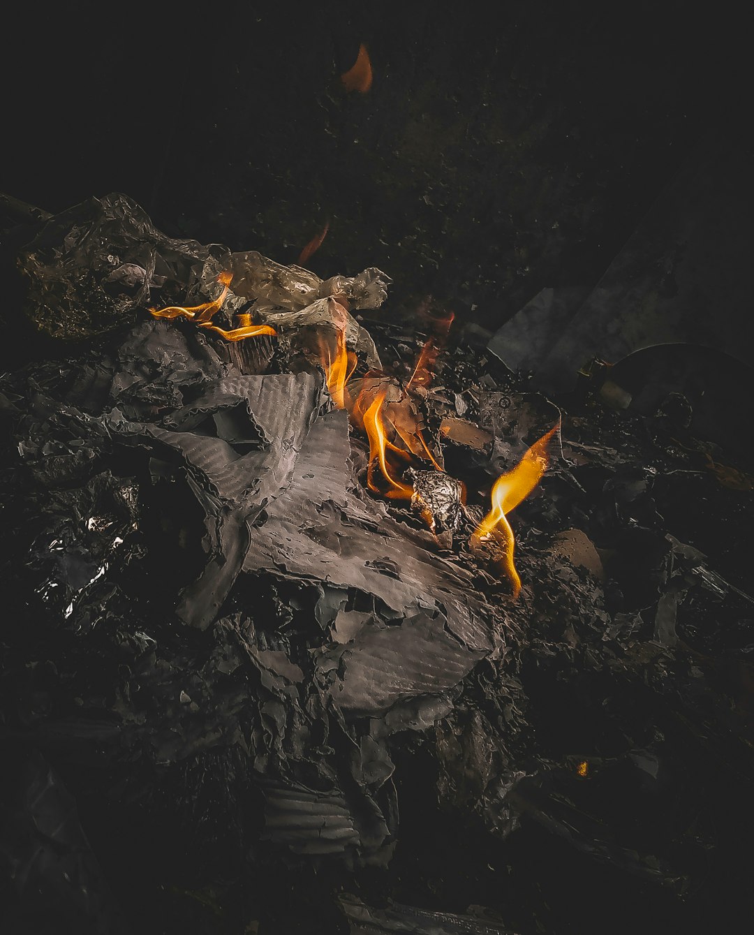 Household Trash and Garbage (image credits: unsplash)