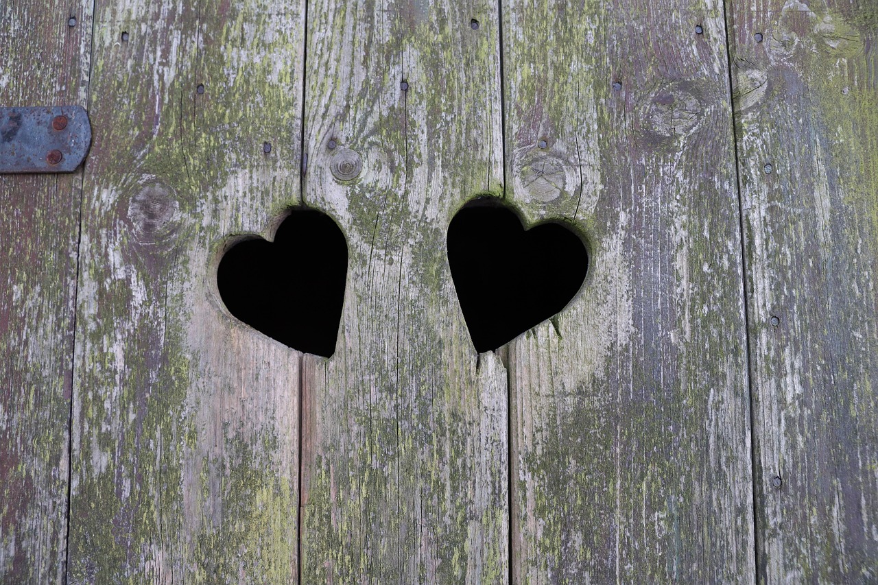 Feeling of Interconnectedness (image credits: pixabay)