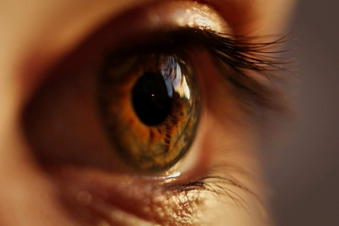 The Melanin Connection: How Your Eye Color Reveals Your Brain Chemistry (image credits: unsplash)