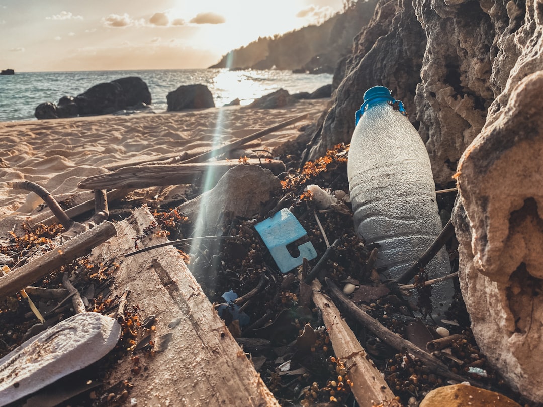 Environmental Damage: The Beaches Aren’t What They Used to Be (image credits: unsplash)