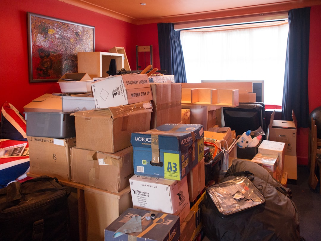 Boxes of Unsorted Junk and Mystery Items (image credits: unsplash)