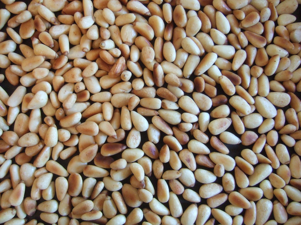 Pine Nuts - The Tiny Treasures (image credits: flickr)