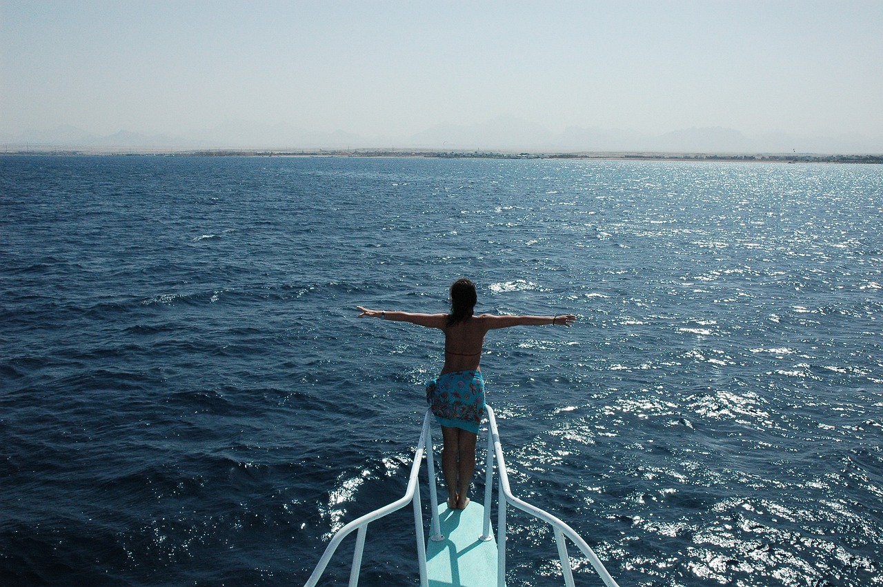 Gwyneth Paltrow Turned Down Titanic’s Rose (image credits: pixabay)