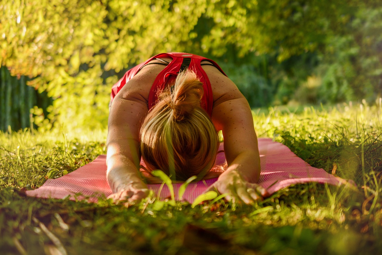 How Yoga Shapes Our Fight-or-Flight Response (image credits: pixabay)